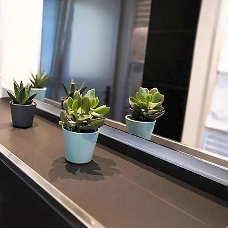 Mood Contemporary Living 3* Мангейм