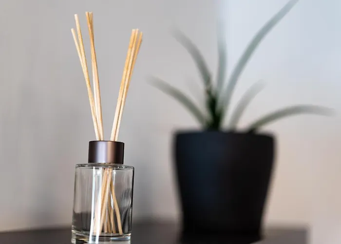 Mood Contemporary Living 3*